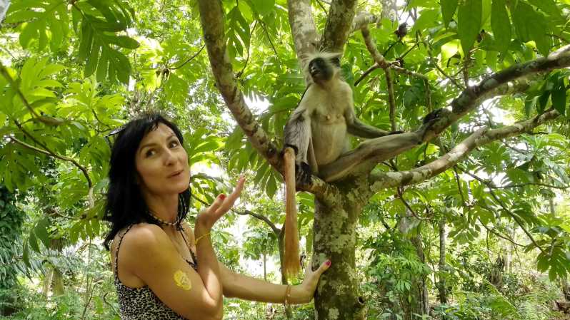 Jozani Forest Tour zanzibar Jozani Forest is the only national park located in Zanzibar 
