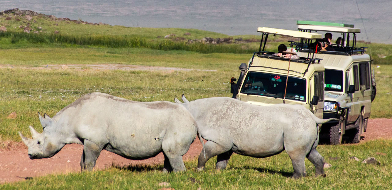 2 Days Budget Camping Safari Tour Tanzania to Tarangire National Park and Ngorongoro crater will be a safari full of adventures