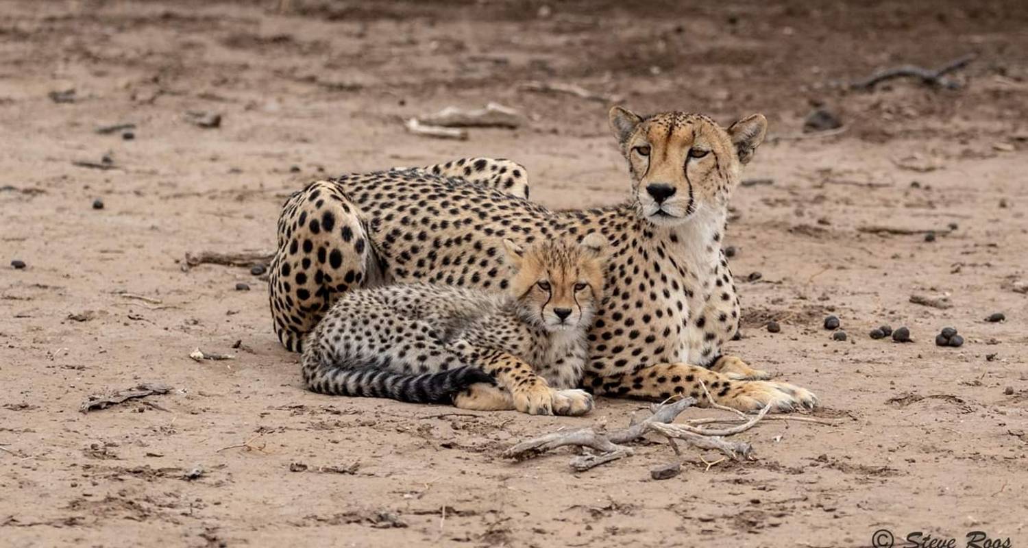 Best Tanzania Budget Camping Safari 7 Days On this camping safari, you will experience it all! Ranging from fantastic wildlife to impressive landscapes and meeting the local people