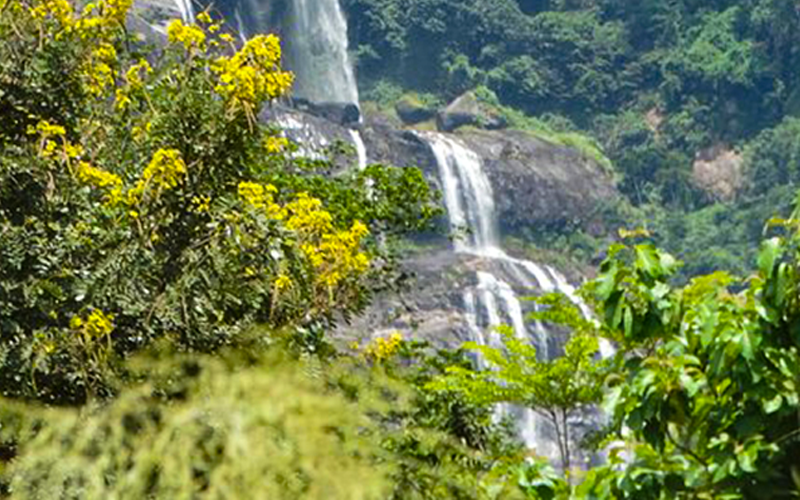 Udzungwa Mountain National Park Tanzania was established in 1992 and officially opened by the former